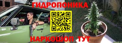 прущая мука Шебекино