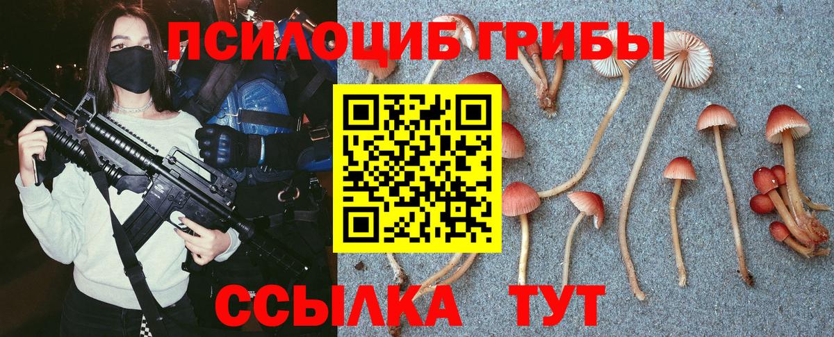 купить   Галлюциногенные грибы MAGIC MUSHROOMS  Вход с VPN  Гулькевичи 