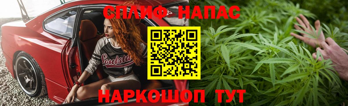 Бошки Шишки семена Гулькевичи
